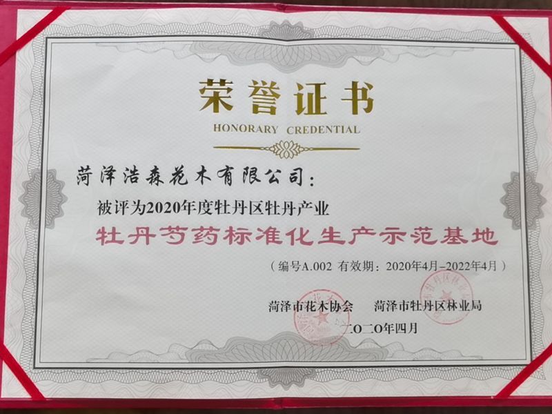 牡丹芍藥標準化生產示范基地
